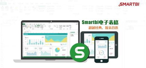 SmartBI助力常德企業(yè)實(shí)現(xiàn)報(bào)表統(tǒng)一管理，化繁為簡(jiǎn)提升決策效率